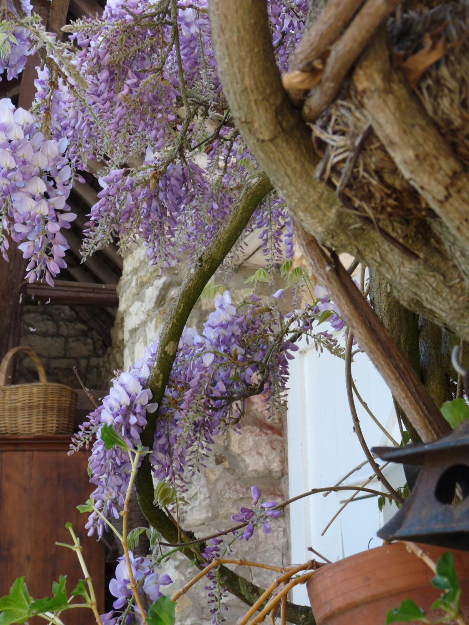 La Maison De Madame Baudy Giverny Ngoại thất bức ảnh